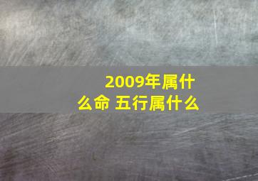 2009年属什么命 五行属什么